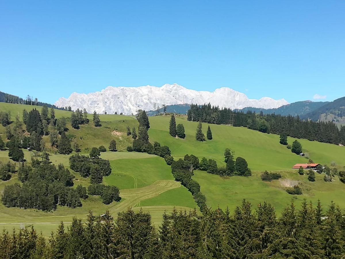 Apartment Hochkoenigblick Pilzegg Embach Bagian luar foto