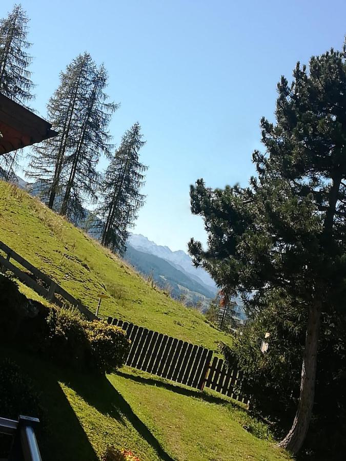 Apartment Hochkoenigblick Pilzegg Embach Bagian luar foto